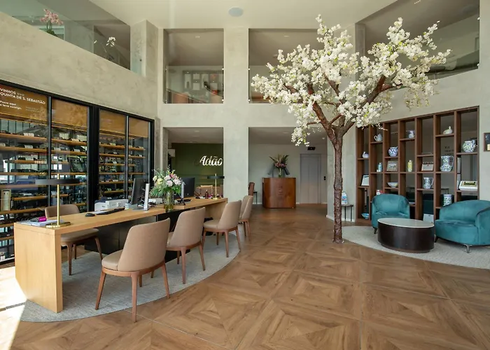 Ap Eva Senses ファロ